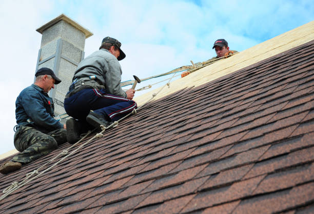 Best Residential Roofing Contractor  in Alamosa East, CO